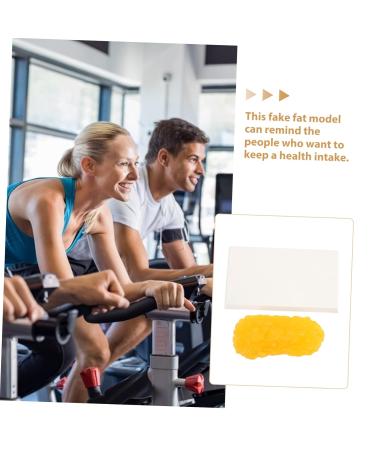 Gatuida Anatomical Fat 3pcs Fat Model Models Demonstration Model Human Fat Anatomical Body Fat Replica Human Body Module - Buy Online on GoSupps.com