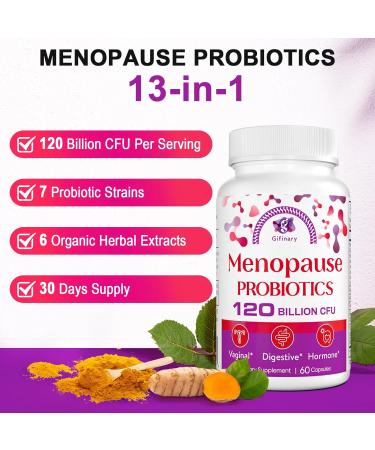 All-Natural Menopause Probiotic Supplements for Women - 120 Billion CFU for Hot Flashes Night Sweats & Mood Swings - 120 Herbal Capsules (Pack of 2 - Buy Online on GoSupps.com