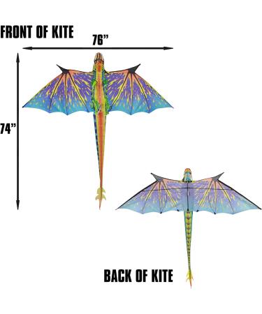 WindNSun Super Size 3D Blue Dragon Kite | 76 Wide Ripstop Nylon | Glass Eye Design - Buy Online on GoSupps.com