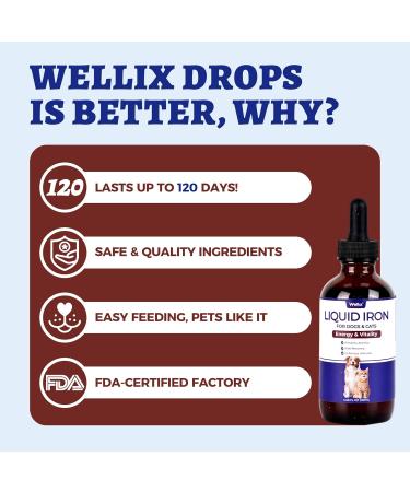 4oz Liquid Iron Supplement for Cats&Dogs-Vitamin B12&C-Cat Anemia Supplements Hemoglobin Support Lethargy Pregnant Cat&Dog Essentials Kitten & Puppy Supplements-Large Volume - Buy Online on GoSupps.com