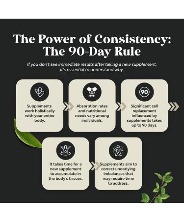 Nootropic Memory Supplement for Brain Support - Memory Pills for Brain Boost and Natural Energy Booster - Vit B12 Bacopa Monnieri Rhodiola Rosea DMAE Ginkgo Biloba Phosphatidylserine Supplement 3 pack - Buy Online on GoSupps.com