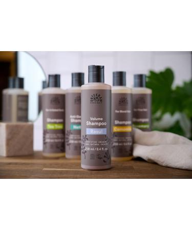 Rasul Greasy Hair Shampoo 250 ML | Natural Hair Care for Oily Scalp - Buy Online Worldwide - Buy Online on GoSupps.com
