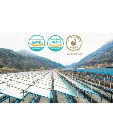 Gangwoninsam Korean Red Ginseng Extract Gold 500g / 17.63 fl. oz Contains 100% Pure Korean 6-Year-Old Red Ginseng Root Extract - Buy Online on GoSupps.com