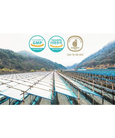 Gangwoninsam 6 Year Korean Red Ginseng Tea - 150g (3g x 50 packets) | Premium Korean Red Ginseng Extract | Individual Packaging - Buy Online on GoSupps.com