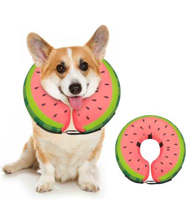 Ducomi Inflatable Dog & Cat Hinges - Comfortable Recovery & Freedom of Movement | Prevent Scratches & Bites (Watermelon M) - Buy Online on GoSupps.com