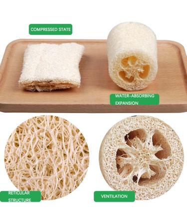 Natural Loofah Sponge - Exfoliating Bath Brush | Biodegradable Shower Sponge 15cm - Multi-Purpose White Loofah - Buy Online on GoSupps.com