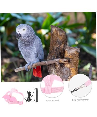 DOITOOL 4 Sets Bird Leash Suspend Bearded Dragon Harness Reptile Harness Bird Harness Outdoor Car Supplies 12X6X1.3CMx4pcs Pinkx4pcs - Buy Online on GoSupps.com