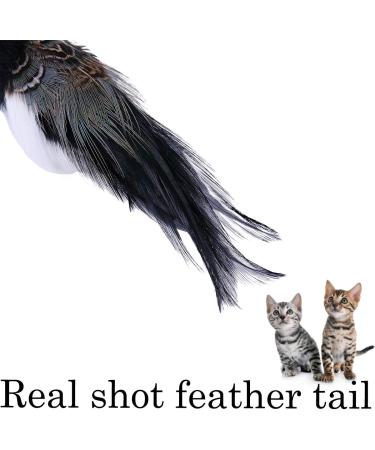 JAKAGO Realistic Bird Cat Toy - Feather Handmade Sparrow & Parrot Simulation - Buy Online on GoSupps.com