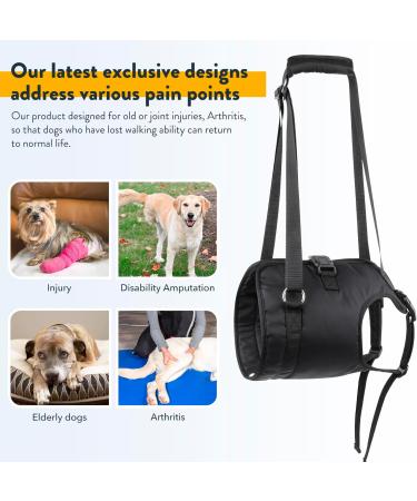 PZRLit Dog Lift Harness - Adjustable Mobility Aid Sling for Large Dogs' Hind Legs Perfect for Elderly and Disabled Dogs - Hip & Back Leg Support Vest for Walking Assistance Large - Buy Online on GoSupps.com