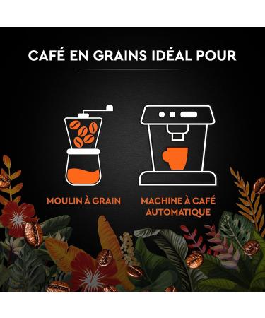 CARTE NOIRE - Caf Grain Carte Noire Secrets de Nature - Catuai Romex - Certifi Rainforest Alliance - Paquet de 2 kg - Buy Online on GoSupps.com