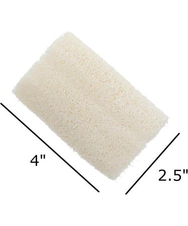 Natural Loofah Set of 3 - Exfoliating Bath Sponges for Smooth Skin | International Shipping Available - Buy Online on GoSupps.com