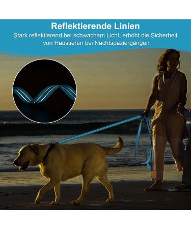 X Xben 15m Dog Leash - Robust Tow Line with Lockable Carabiner Reflective Running Training Line for Small & Medium Dogs Light Blue - Buy Online on GoSupps.com