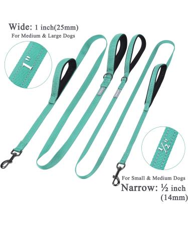 Vivaglory Traffic Handle Dog Leash - 1.5m Padded Reflective Durable with Metal Hook | Turquoise Training Leash for Dogs - Buy Online on GoSupps.com