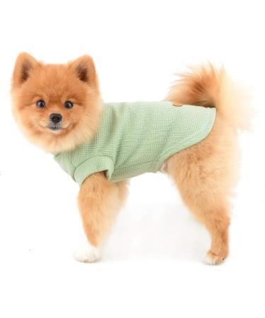 Paidful Soft Cotton Vest T-Shirts for Small to Medium Dogs & Cats - Breathable Summer Clothing for Puppies Chihuahuas and Yorkies - Green XXL - Buy Online on GoSupps.com