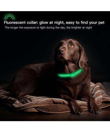 Dewel Shining Tick Collar for Dogs - Adjustable Waterproof Flea & Tick Prevention XL 63.5cm - Lightweight & Effective Vermin Control - Buy Online on GoSupps.com