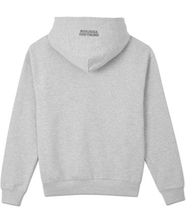 Shop Borussia Dortmund BVB Hoodie Essentials | Grey Basic Pullover S-3XL - International Shipping Available - Buy Online on GoSupps.com