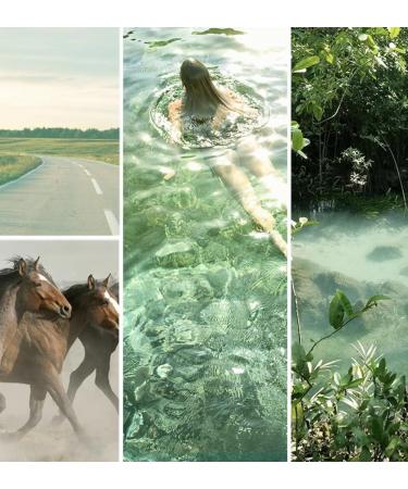 I am Free Eau de Parfum Spray 1 fl oz 1 Fl Oz (Pack of 1) Free - Buy Online on GoSupps.com