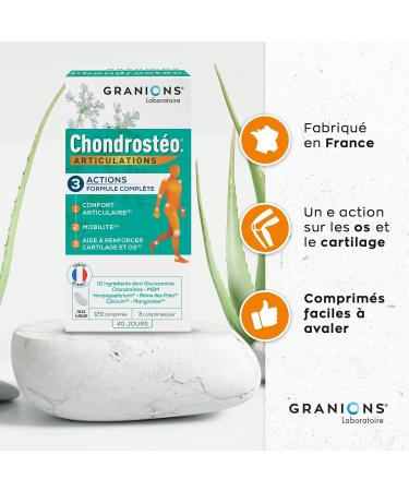 GRANIONS Chondrosteo+ Joints 2 x 180 Tablets Glucosamine Chondroitin Msm Harpagophytum Bamboo Silicon Triple Action: Mobility & Joint Flexibility Bone Capital Made in France - Buy Online on GoSupps.com