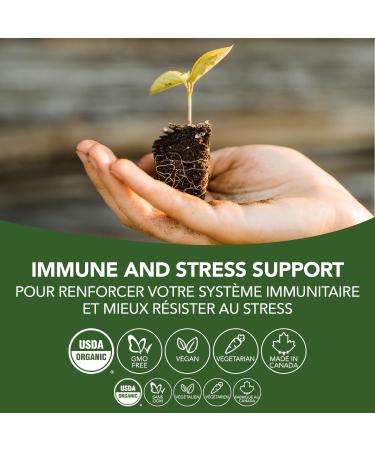 St. Francis Herb Farm Schisandra Herbal Tincture Liquid | Used as an Adaptogen for Mental & Physical Fatigue | Supports the Immune System | Organic | Non-GMO | Lactose-Free | (50ml) 50 ml (Pack of 1) - Buy Online on GoSupps.com