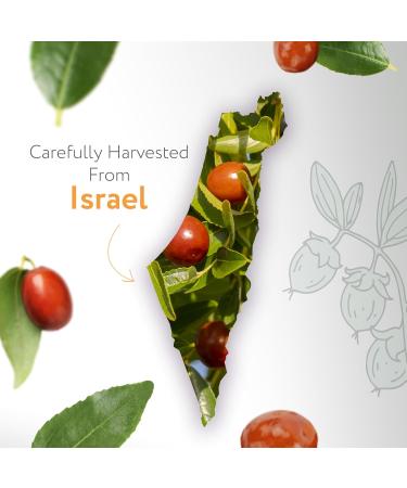 HBNO Organic Jojoba Oil - 32 oz (950ml) Value Size - Ideal for Shampoos Conditioners Massage Blends Face wash Lotions and Skin Care Products. Organic Jojoba 32 Fl Oz (Pack of 1) - Buy Online on GoSupps.com