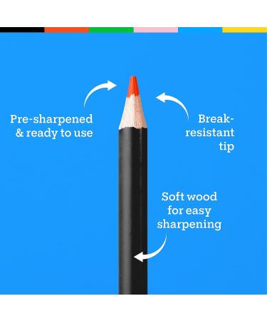 48 ct Oil Pastel Pencils for Artists - Soft Core Colored Pencils for Drawing, Sketching, and Adult Coloring - Skin Tone Set in Cyclindrical Box - Buy Online on GoSupps.com