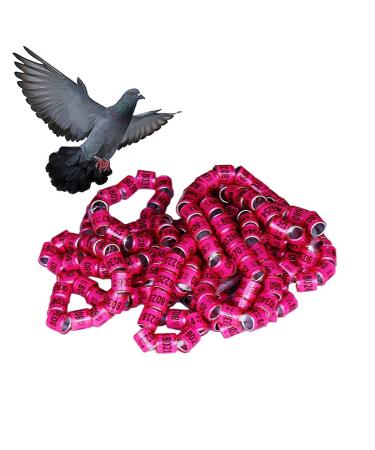 50 Multicolored Aluminum Pigeon & Chicken Leg Rings | Bird Identification Foot Rings - Training Accessories - Buy Online on GoSupps.com