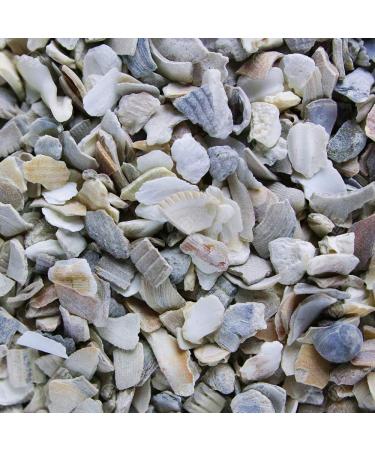 GardenersDream Hen Sized Oyster Shell | Premium Quality Poultry Feed | Calcium Filled Grit Food for Animals | Improves Digestion and Development for Strong Bones & Beaks | Natural Mixture (1L Tub) 1 l (Pack of 1) - Buy Online on GoSupps.com