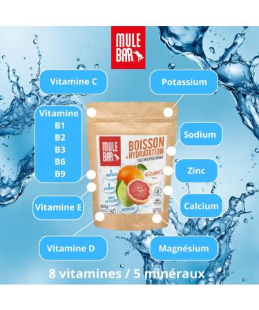 MULEBAR - Powdered Hydration Drink - Citrus - Anti-Fatigue - Antioxidant - 8 Vitamins - 5 Minerals - Electrolytes - Very Low Sugar Taste - Easy to Digest - Made in France - 250gr - Buy Online on GoSupps.com
