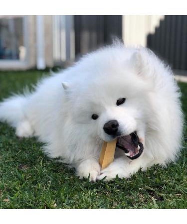 Super Himalayan Dog Chew-All Natural Hard Cheese Himalayan Dog Treats-Long Lasting Dog Yak Chews Made in Europe-Large for Dogs 15-25 kg Large(L)-Dogs 15-25 kg - Buy Online on GoSupps.com