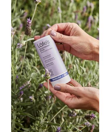 Lafe's Natural Deodorant | 2.25oz Plastic Free Natural Deodorant Stick in Paper Packaging | Aluminum Paraben and Baking Soda Free with 24-Hour Protection (Lavender & Aloe) Lavender & Aloe 64 Gram - Buy Online on GoSupps.com