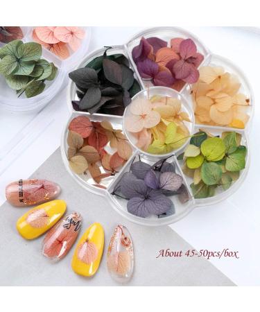 IME Nail Dried Flower & Crushed Seashell Mix for 3D Nail Art - DIY Manicure Decor Kit - Buy Online on GoSupps.com