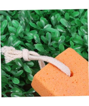 Beavorty 4pi ces Pierre Pour P dicure Exfoliante Outil De Polissage Pour liminer Les Peaux Mortes Lot De Pierres Ponces 1 unit (Lot de 1) Comme Montr  - Buy Online on GoSupps.com