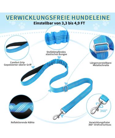 Eyein No-Pull Dog Harness with Leash | Padded & Adjustable for All Breeds | Reflective Design | Soft Dishes for Puppies Small & Large Dogs | Blue-Green XXS - Buy Online on GoSupps.com