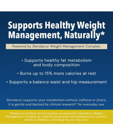 AMAXI Plantium Total Nutrition Premium All-in-One Meal Replacement Shake Plant-Based Protein Powder with Vitamins Minerals & Probiotics 22g Protein per Serving Vanilla - Buy Online on GoSupps.com