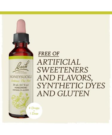 Bach Original Flower Remedies Honeysuckle 20mL - Embrace the Now, Holistic Wellness, Vegan - Buy Online on GoSupps.com