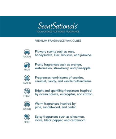 Buy Scentsationals Magic Spell Wax Melts - Strong Scented Wax Cubes Long Lasting 2.5 oz (6 Cubes) - Fast International Shipping - Buy Online on GoSupps.com
