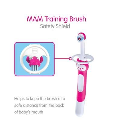 MAM Training Toothbrush for Babies | Baby's Brush with Safety Shield & Brushy The Bear Character | Interactive App | Boys 5+ Months | Blue - Buy Online on GoSupps.com