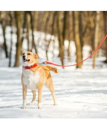 Toozey Waterproof Training Leash for Dogs - 5m/10m/15m/20m Towline with Hand Loop & Mesh Pocket - Robust Neon Orange Leash for All Dog Sizes - Buy Online on GoSupps.com
