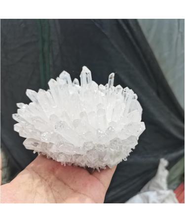 Natural Crystal Rough Natural Crystals Clear Quartz Cluster Freeform Reiki Stones Room Home Office Aquarium Decoration Accessories Gemstone Decoration (Size : 400-500g) - Buy Online on GoSupps.com