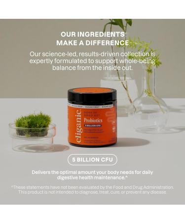 Cliganic Sugar-Free Probiotics Gummies for Men & Women (5 Billion CFU 30-Day Supply) - Berry Flavor Vegan Non-GMO Kosher Gluten-Free Promotes Digestive Health Balances Gut Microbiome 30 Count (Pack of 1) - Buy Online on GoSupps.com