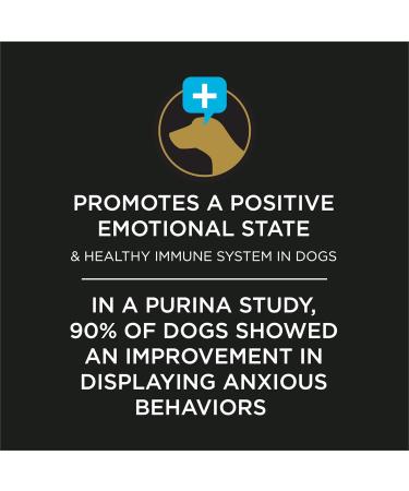 PURINA Dog Calming Care Probiotic Powder Seperation Aid/Anxiety Relief During Loud Noise/Help with Barking/Jumping/Promote Healthy Immune System 30x1g Sachets - Buy Online on GoSupps.com