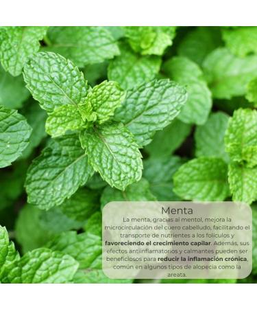 Hair Growth Activator Serum for Men and Women Reduce Hair Loss Stimulate Growth 100% Natural Ingredients No Side Effects - Buy Online on GoSupps.com