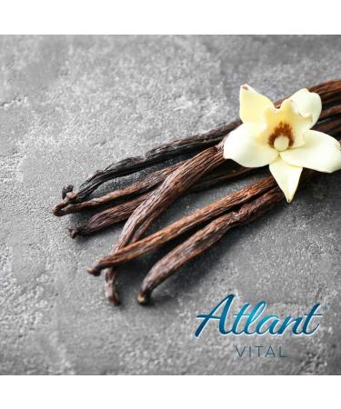 Myline Protein Shake 2-Pack 2x400g + AV Tape Measure + 2 Protein Bars (Chocolate-Vanilla) - International Shipping - Buy Online on GoSupps.com