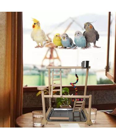 Parrots Playground Bird Play Gym Wood Perch Stand with Toys & Cups | Exercise Activity Center for Conure, Cockatiel, Lovebirds | Includes Tray - Buy Online on GoSupps.com