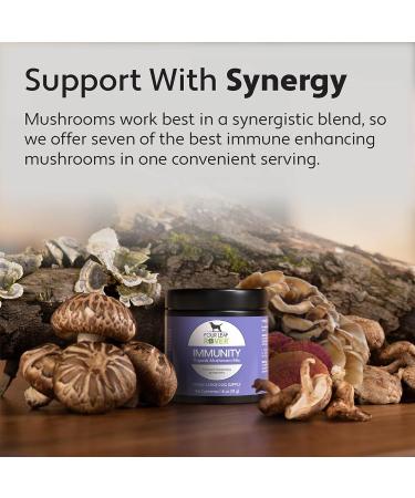 Four Leaf Rover Seven 'Shrooms - Organic Mushroom Complex for Dogs - Immune Support with Beta Glucans - Vet Formulated - Buy Online on GoSupps.com