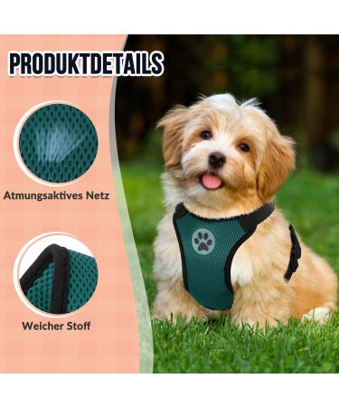 Slowton No Pull Dog Harness - Breathable & Soft Padded for Small & Medium Dogs - Safety & Comfort - Buy Online on GoSupps.com