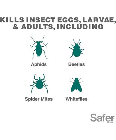Safer Brand Neem Oil Concentrate Insecticide Miticide Fungicide for Plants | Organic OMRI Listed Solution for Insects, Mites, and Fungal Disease - Buy Online on GoSupps.com