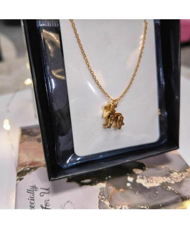 OralGos Adjustable Small Lion Clavicle Chain Jewelry - Titanium Steel for Daily Wear | International Shipping Available - Buy Online on GoSupps.com