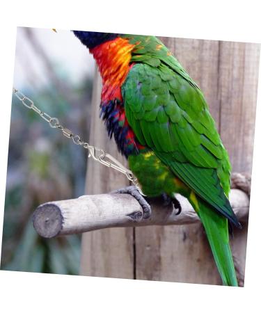 BELLIFFY 1 Set Parrot Anklet Birds Anklet Bird Harness Parrot Harness Leash Stainless Steel Bird Chain Split 24X4X0.1cm Silver - Buy Online on GoSupps.com