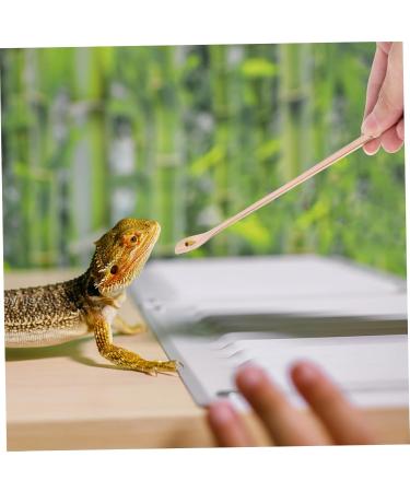 BESPORTBLE 6 Pcs Animal Feeding Pet Food Scoop Reptile Reptile Stainless Steel 19.20X1.30X0.20CMx3pcs Goldenx3pcs - Buy Online on GoSupps.com